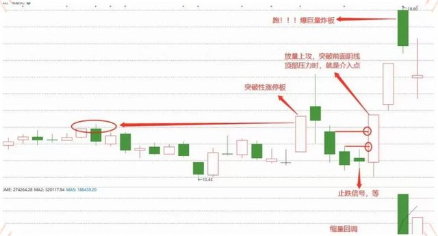 2024年10月 第503頁