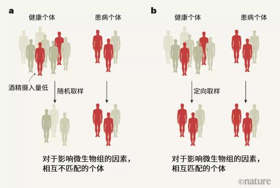 探索人體奧秘的新領(lǐng)域，最新窩窩人體研究揭秘人體奧秘