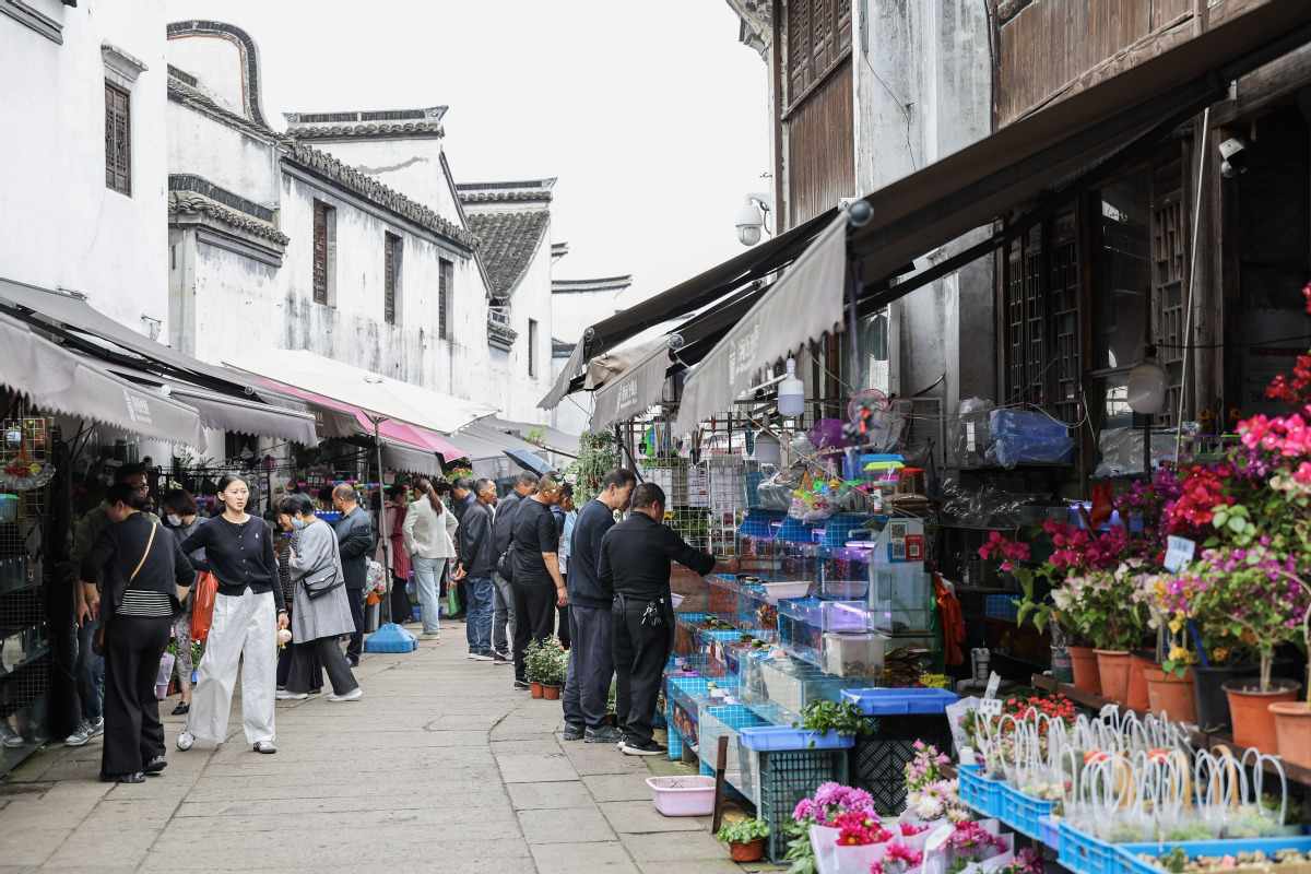 東西堤街搬遷進(jìn)展及歷史街區(qū)改造與居民安置最新消息