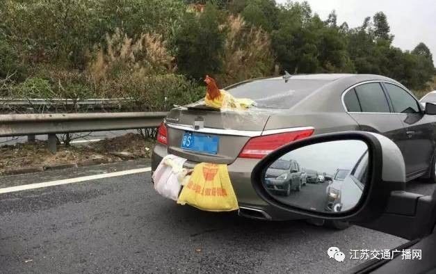 車主高速遇陪跑伙伴，雙閃告別顯真情