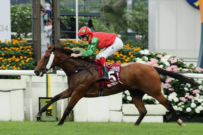 2024年香港今晚特馬,2024年香港特別賽馬夜今晚開啟_冒險版1.3