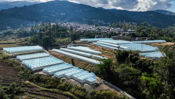 鳳慶縣概覽，最新消息與概述