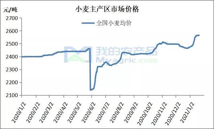 關(guān)于小麥價(jià)格的最新行情，以2月26日為例的行情分析（附小麥價(jià)格表）