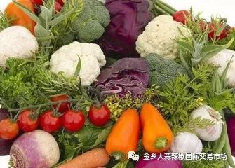 秋季蔬菜盛宴，豐富多樣且供應(yīng)充足的原因分析