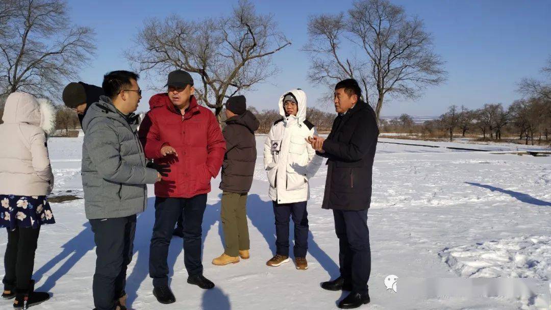 金鳳鎮(zhèn)規(guī)劃最新動態(tài)深度解析，各方觀點與個人立場探討，最新消息新聞發(fā)布