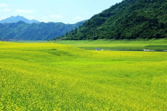 嘉澤新能引領(lǐng)綠色之旅，探尋自然美景，心靈之旅啟程，最新投資動態(tài)揭曉！