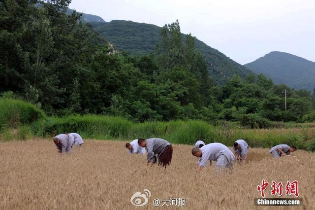 種麥啟程，探尋變化之力與人生豐收季的收獲之道