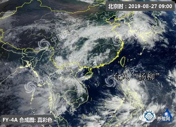 最新臺風動態(tài)及影響深度分析，30日臺風消息綜述與反思