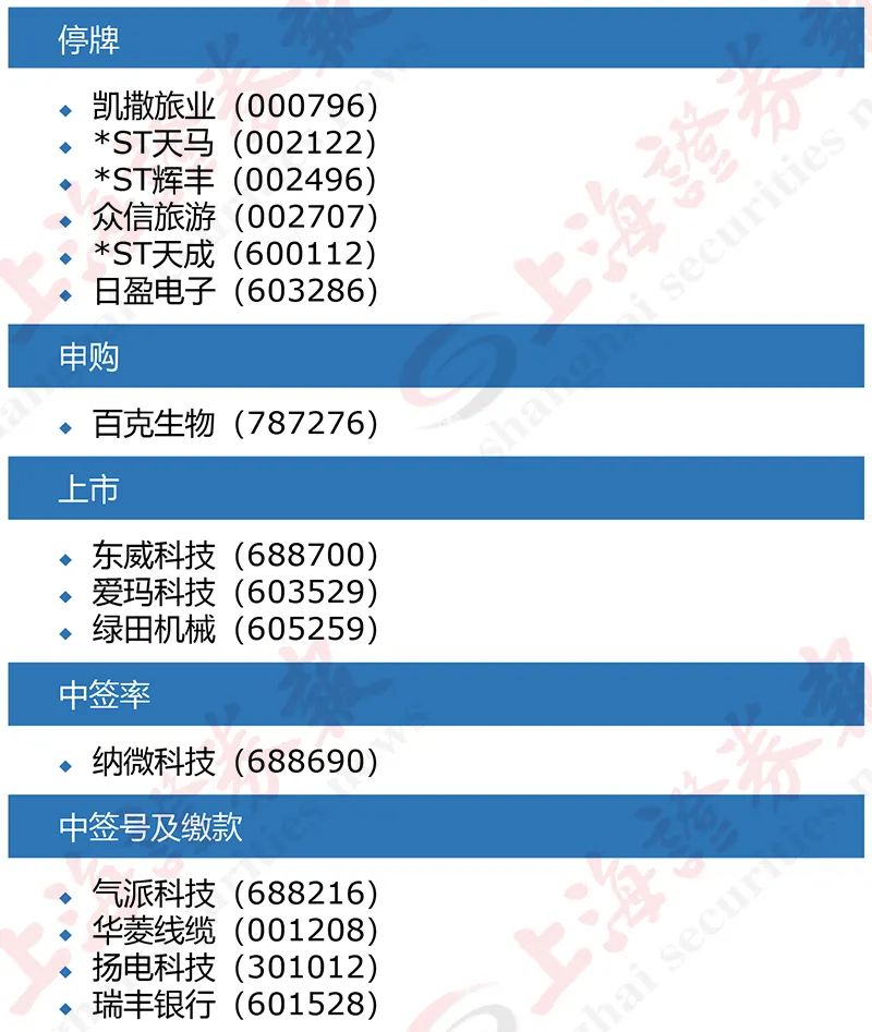 美國(guó)投票最新解析與指南，從初學(xué)者到進(jìn)階用戶的全程指南，30日投票結(jié)果速遞