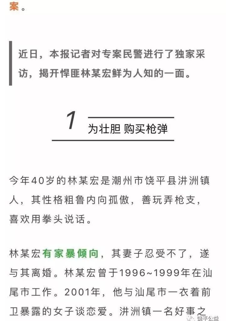 饒平槍擊案最新進(jìn)展解析，案件全貌揭秘與應(yīng)對(duì)方式探討（最新情況更新）