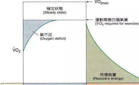 最新生理周期解析，洞悉健康奧秘，掌握生理日歷的規(guī)律