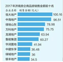 濟(jì)南最新購房政策深度解析，特性、體驗、競品對比與用戶洞察解讀報告（全面解讀濟(jì)南購房政策）