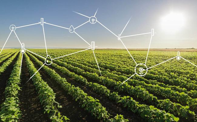 11月3日智慧農(nóng)業(yè)最新技術(shù)深度探討及其影響研究綜述