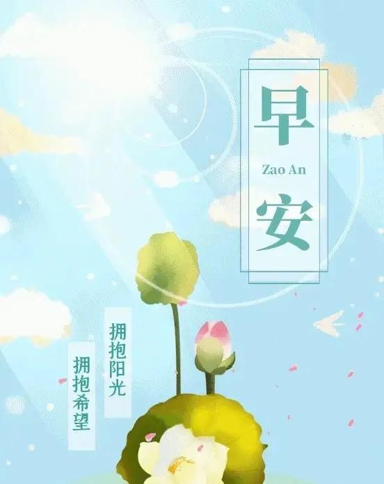 11月4日再次擁抱陽光最新話深度解析與聚焦要點(diǎn)