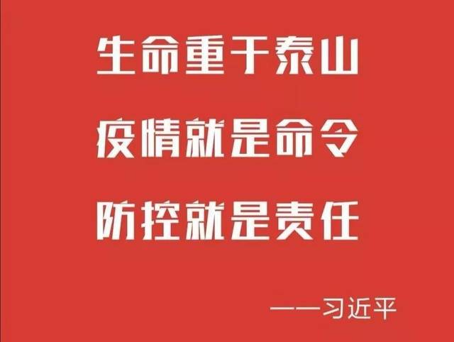 2024年11月5日 第8頁