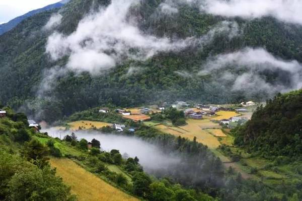 抗州殺妻案背后，探尋自然美景的心靈之旅與寧靜時(shí)刻