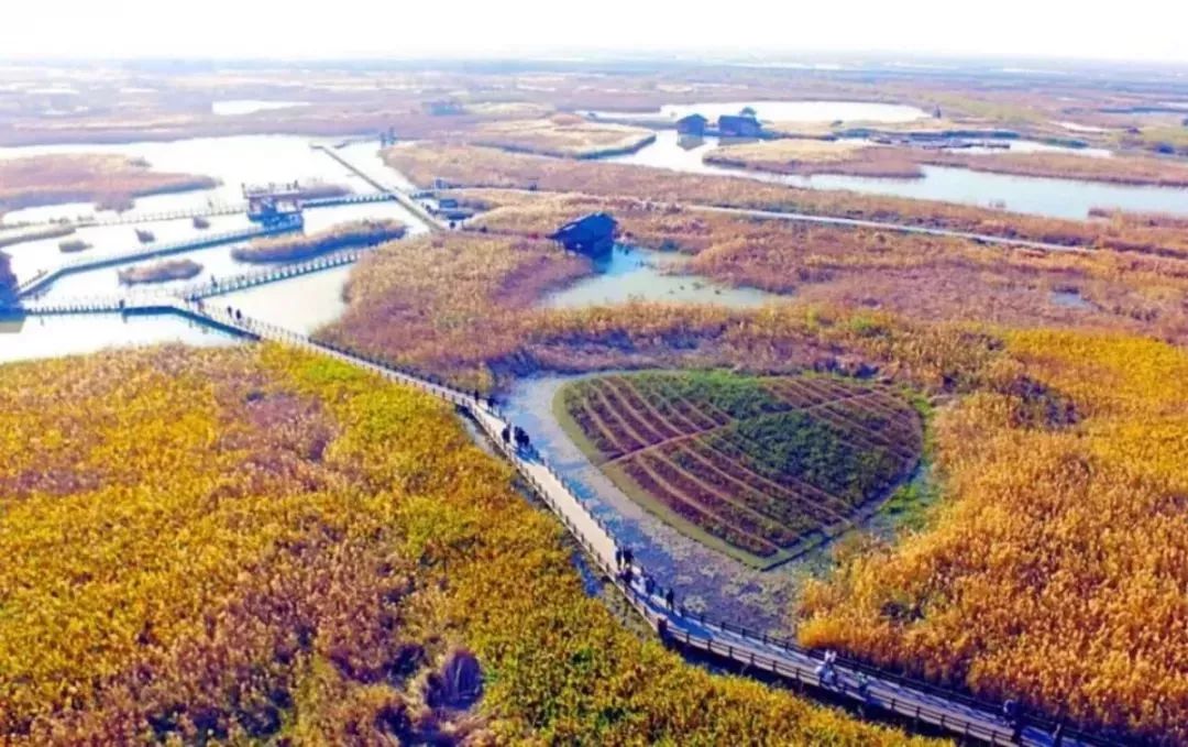 揭秘管灣濕地公園十一月新動態(tài)，生態(tài)進展、休閑體驗與科普新知最新情況解析