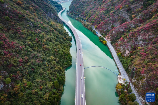 桃江新篇章，探尋最新規(guī)劃公路與小巷深處的美食秘境之旅