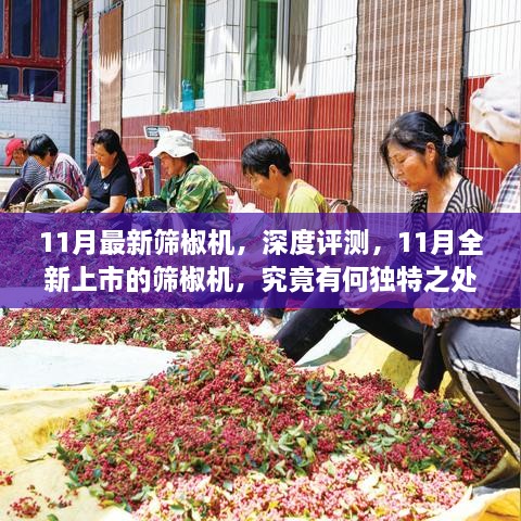 11月全新篩椒機(jī)深度解析，獨(dú)特之處大揭秘！