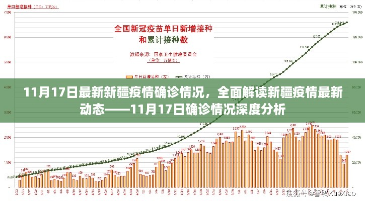 新疆疫情最新動態(tài)深度解讀，11月17日確診情況分析