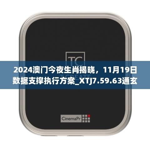 2024澳門今夜生肖揭曉，11月19日數(shù)據(jù)支撐執(zhí)行方案_XTJ7.59.63通玄境