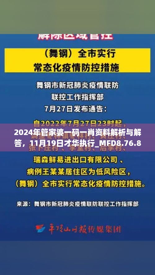 2024年管家婆一碼一肖資料解析與解答，11月19日才華執(zhí)行_MFD8.76.81加速版