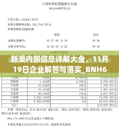 新澳內部信息詳解大全，11月19日企業(yè)解答與落實_BNH6.37.71零障礙版