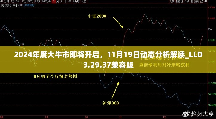 2024年度大牛市即將開啟，11月19日動(dòng)態(tài)分析解讀_LLD3.29.37兼容版