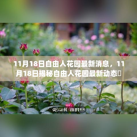 揭秘自由人花園最新動態(tài)，最新消息一覽（11月18日）