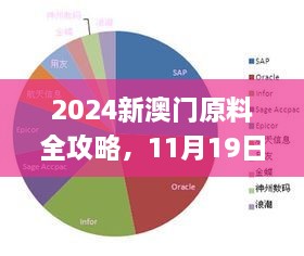 2024新澳門原料全攻略，11月19日專職解析實施_LXC6.23.35L版