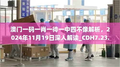 澳門一碼一肖一待一中四不像解析，2024年11月19日深入解讀_CDH7.23.95連續(xù)版