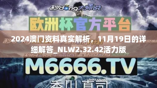 2024澳門資料真實(shí)解析，11月19日的詳細(xì)解答_NLW2.32.42活力版