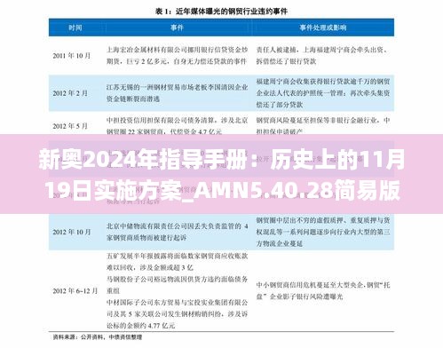 新奧2024年指導(dǎo)手冊(cè)：歷史上的11月19日實(shí)施方案_AMN5.40.28簡易版