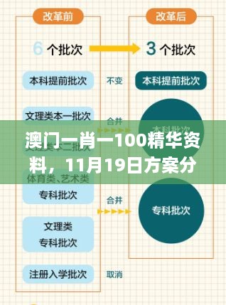 澳門一肖一100精華資料，11月19日方案分析與解讀_PDE3.33.55精選版