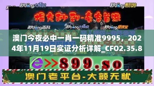 澳門今夜必中一肖一碼精準(zhǔn)9995，2024年11月19日實證分析詳解_CFO2.35.81魔力版