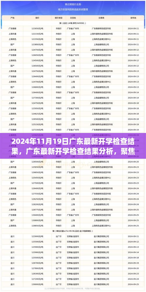 廣東最新開學(xué)檢查結(jié)果分析與觀察思考，聚焦2024年11月19日報(bào)告