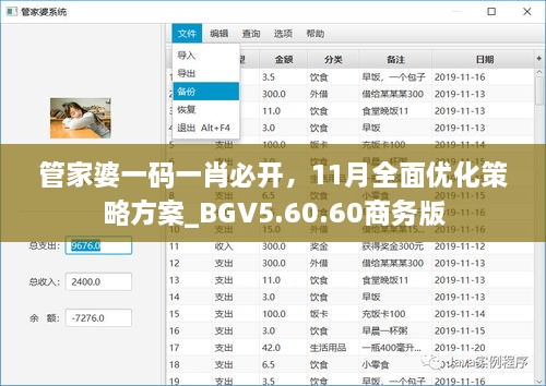 管家婆一碼一肖必開(kāi)，11月全面優(yōu)化策略方案_BGV5.60.60商務(wù)版