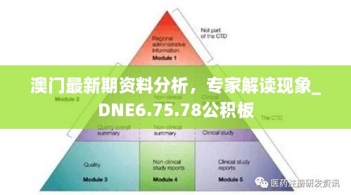 澳門最新期資料分析，專家解讀現(xiàn)象_DNE6.75.78公積板