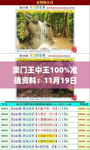 澳門王中王100%準(zhǔn)確資料：11月19日往年整體執(zhí)行解析_ZHC3.32.74先鋒版