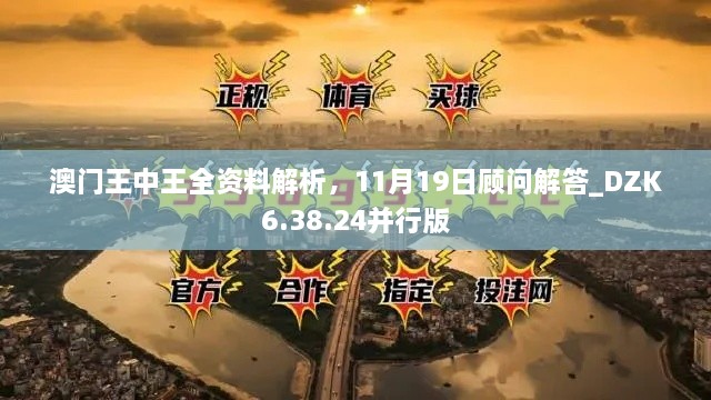 澳門王中王全資料解析，11月19日顧問解答_DZK6.38.24并行版