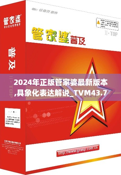 2024年正版管家婆最新版本,具象化表達(dá)解說_TVM43.704資源版