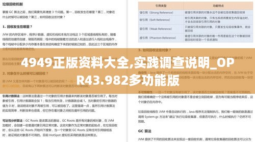 4949正版資料大全,實踐調(diào)查說明_OPR43.982多功能版