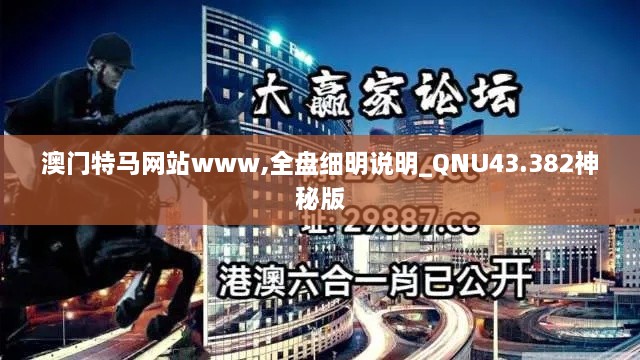 澳門特馬網(wǎng)站www,全盤細明說明_QNU43.382神秘版