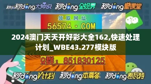 2024澳門天天開好彩大全162,快速處理計劃_WBE43.277模塊版