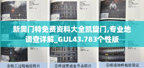 新奧門特免費資料大全凱旋門,專業(yè)地調(diào)查詳解_GUL43.783個性版