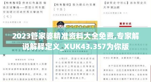 2023管家婆精準(zhǔn)資料大全免費(fèi),專家解說解釋定義_XUK43.357為你版