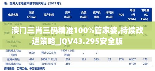 澳門三肖三碼精準(zhǔn)100%管家婆,持續(xù)改進(jìn)策略_JQV43.295安全版