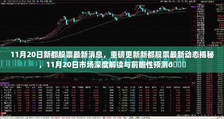 11月20日新都股票最新動態(tài)與市場深度解讀，前瞻性預(yù)測揭秘??