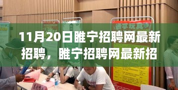 睢寧招聘網最新動態(tài)解析，聚焦行業(yè)熱點與人才需求（11月20日更新）