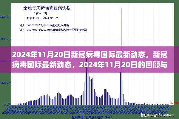 新冠病毒國(guó)際最新動(dòng)態(tài)，2024年11月20日的回顧與影響分析